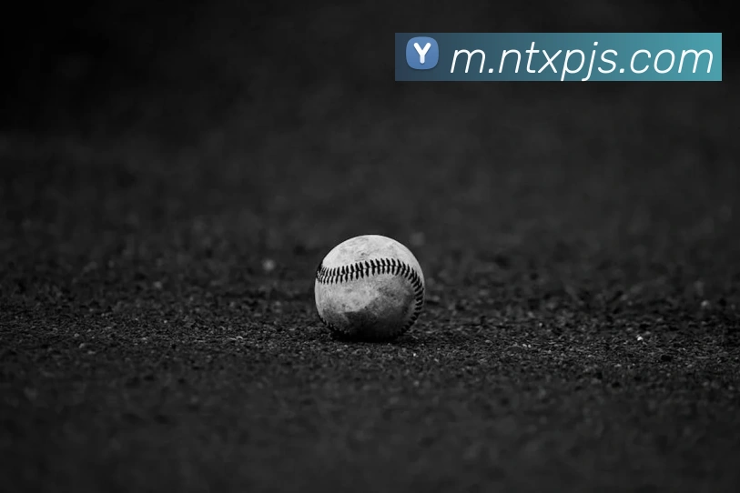 登录器 登录器
